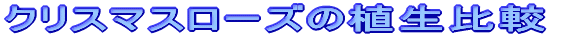 NX}X[Y̐Ar
